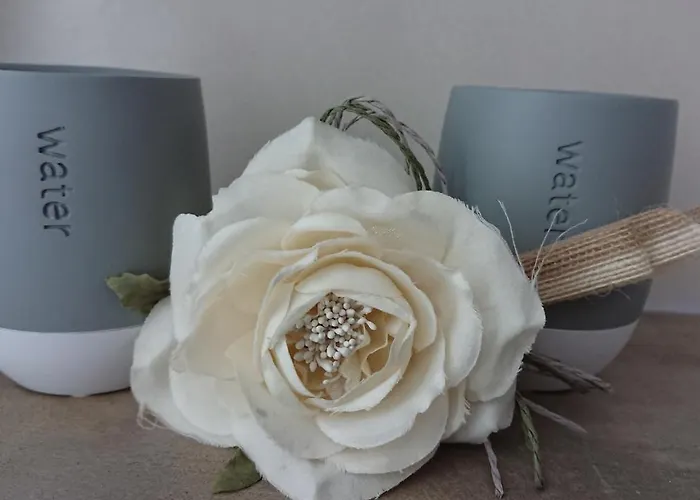 Sonnenblick * بيشوفسفيردا